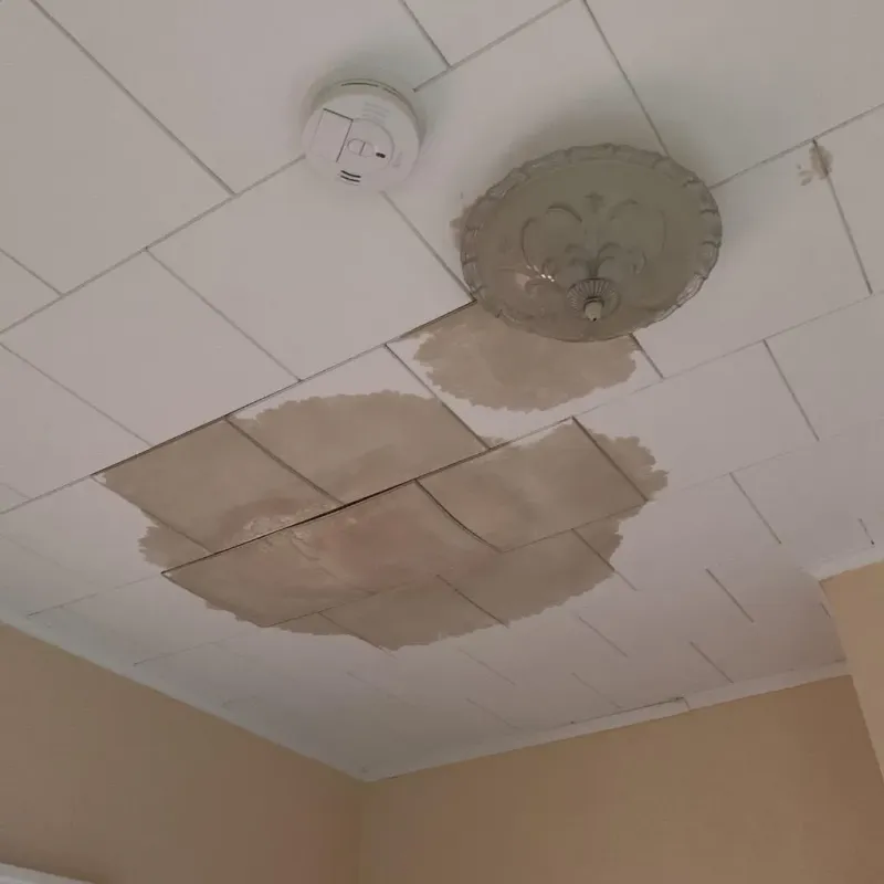 Ceiling Water Damage Repair in Campbell, CA